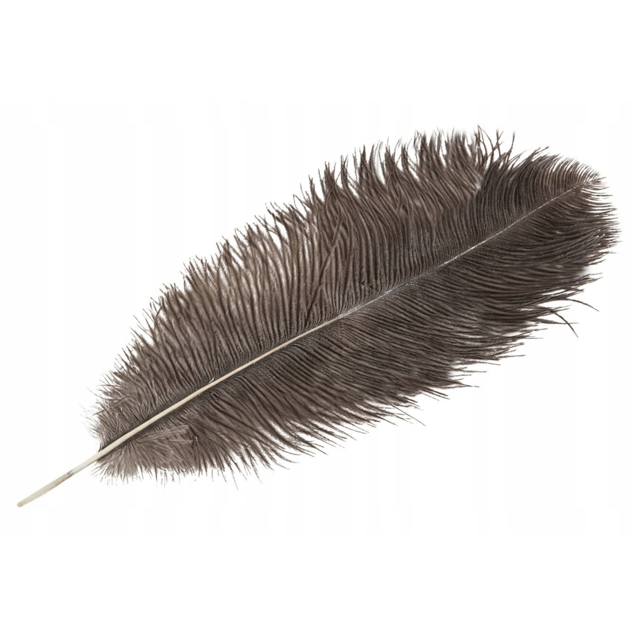PIÓRO STRUSIE dekoracyjne NATURALNY SZARY 45cm