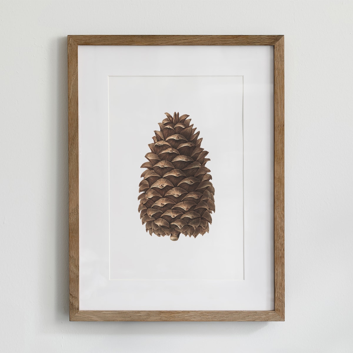 Plakat Szyszka 30x40cm