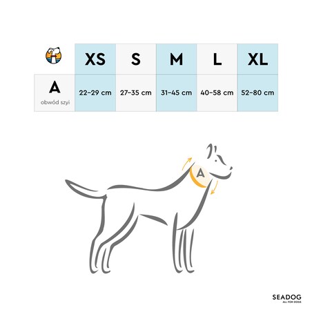 Zestaw: smycz i szeroka obroża, rozmiar M