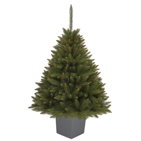 Choinka Premium Świerk SYBERYJSKI w Kwadratowej Donicy 130 cm X-Choinka 7 kolorów donicy