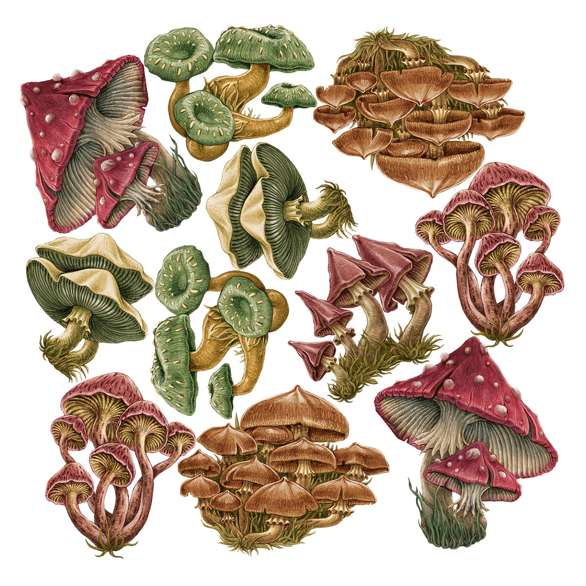 Zestaw naklejek na ścianę, Grzybowa łąka, 80cm