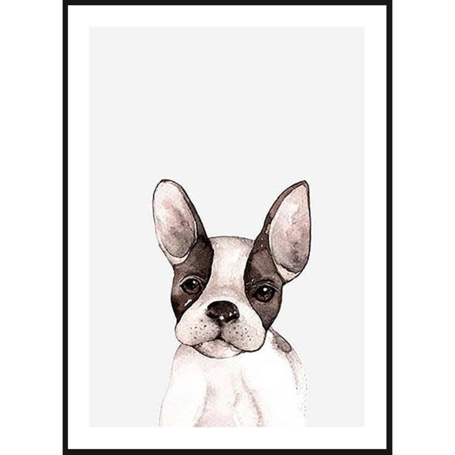 Poster Story, Plakat, Obraz - Buldog Francuski w Brązowe Łaty, wymiary 30 x 42 cm