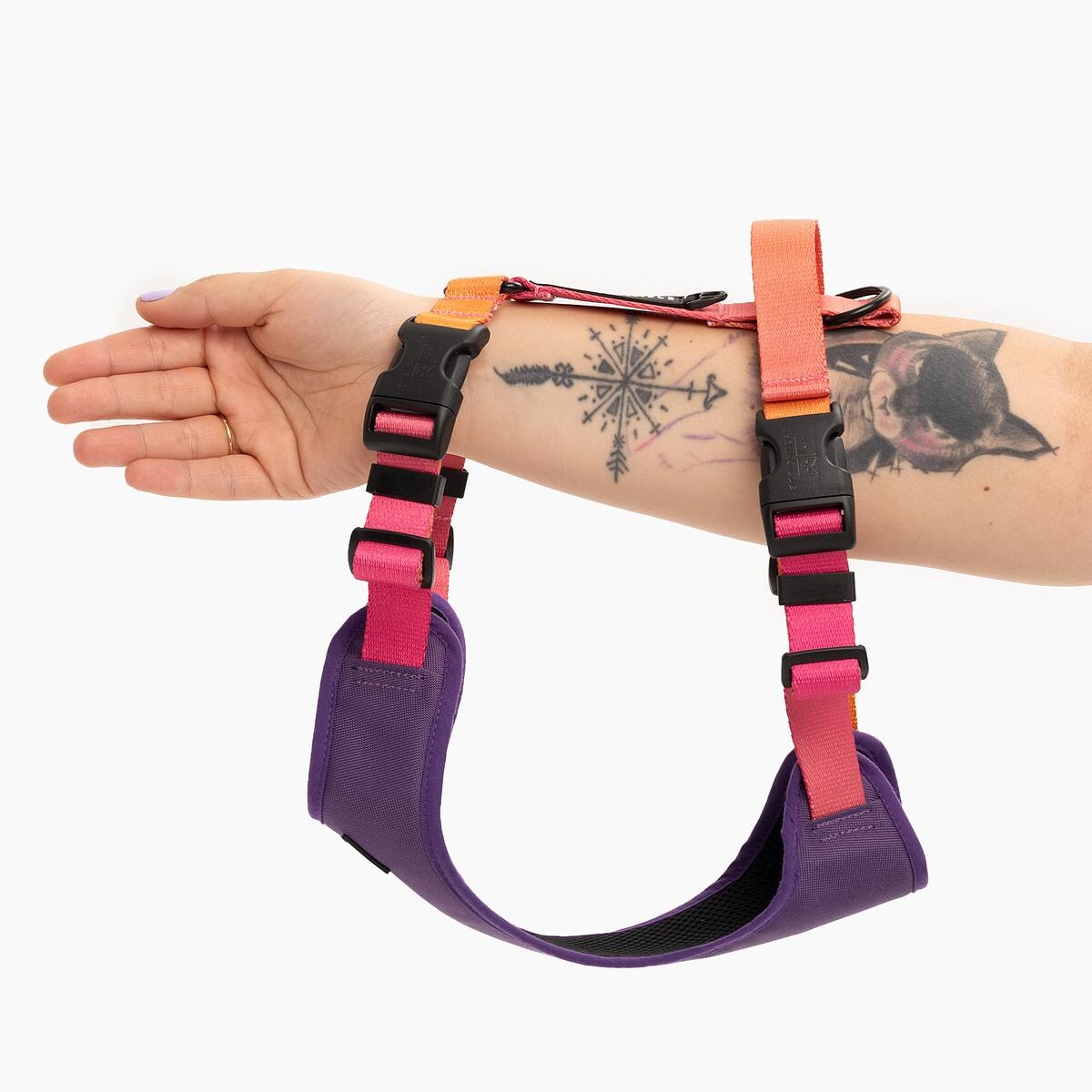 Szelki bezuciskowe Stay on "Under my ombrella" pomarańcz - Szerokość taśmy: 20mm, Rozmiar: S