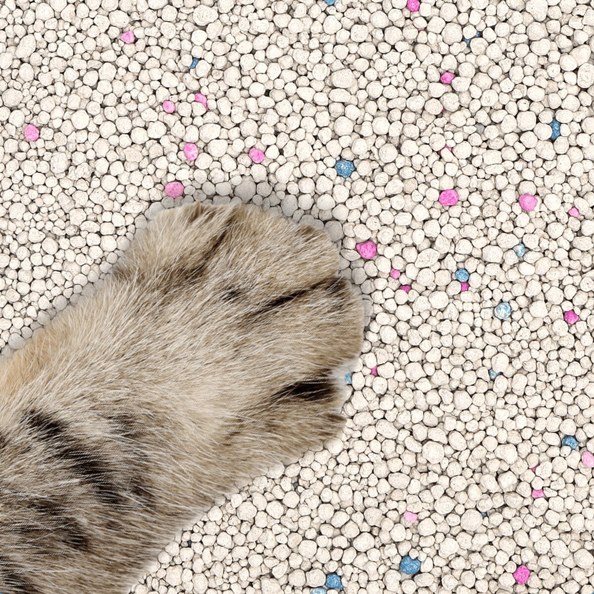 bentonitowy żwirek dla kota 3.2 kg 3.8l