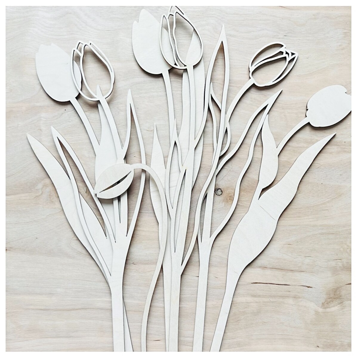 Zestaw kreatywny TULIPANY