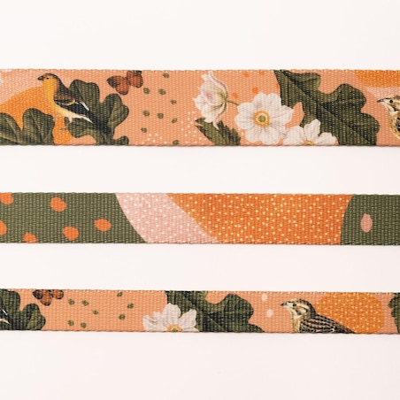 Obroża dla psa lub kota "Wie wiórka co dobre" - Szerokość taśmy: 38mm, Rozmiar: XS