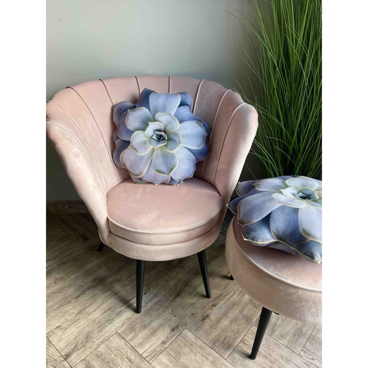 Poduszka duża Sukulent Echeveria Eszeweria