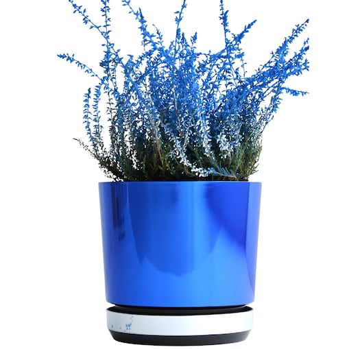 14 Doniczka DUO NIEBIESKA z podstawką LUSTRZANA dwukolorowa nowoczesna wysok połysk do storczyków krokusów orchidea szafirowy