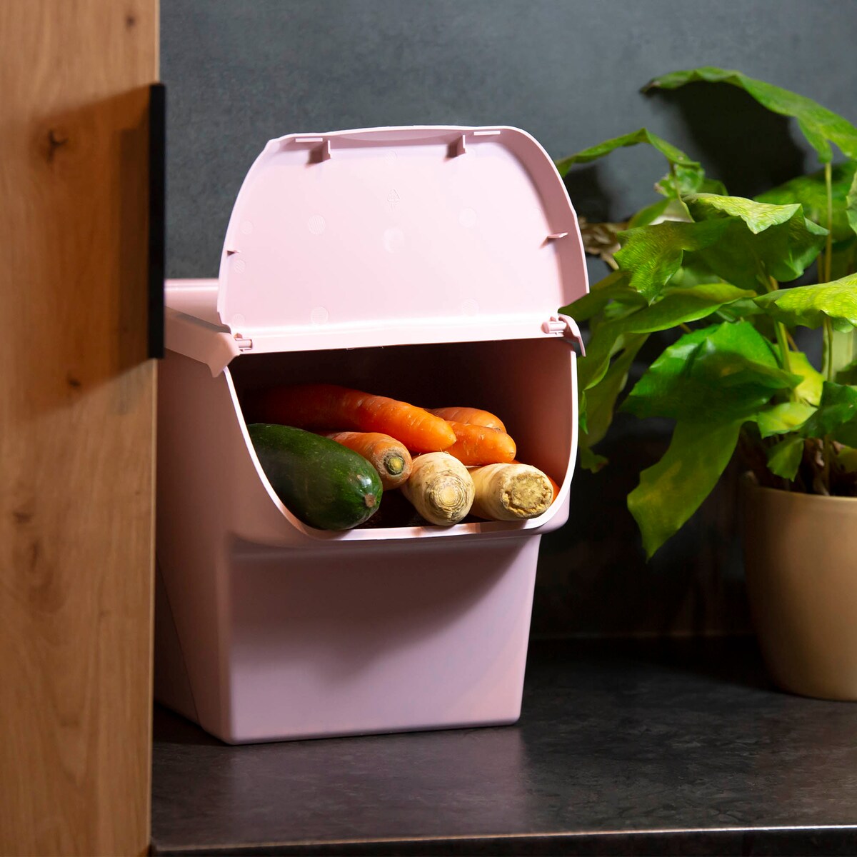 Pojemnik Na Warzywa Owoce Cebulę Ziemniaki Czosnek