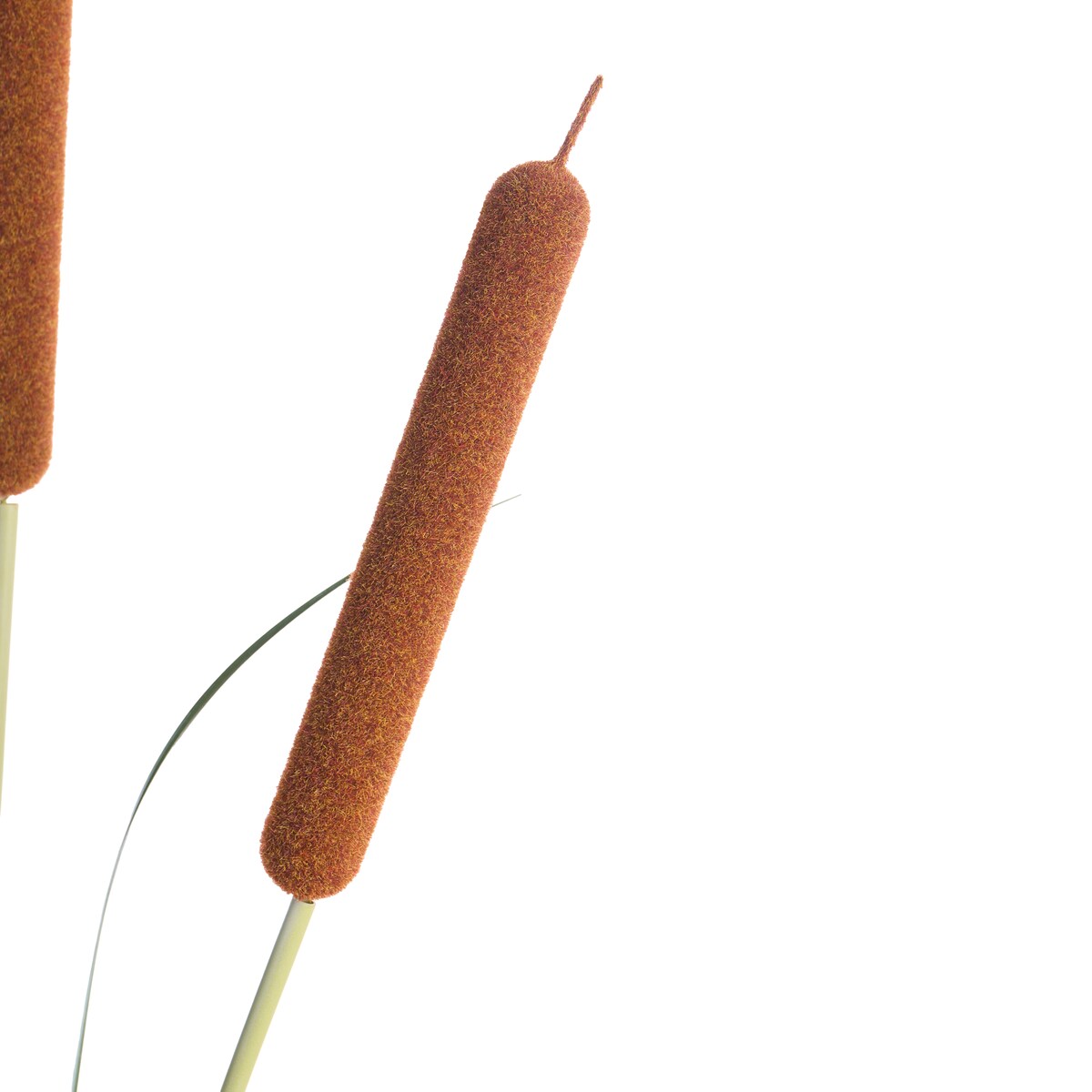 Sztuczna roślina BULRUSH 135 cm Zielony