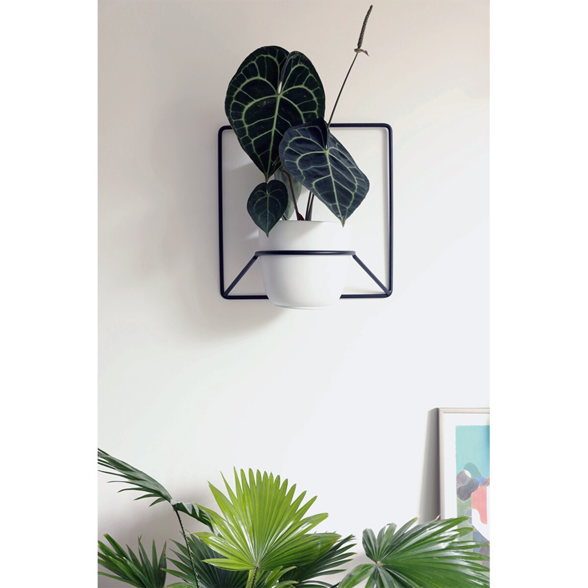 Kwietnik Jeno czarny