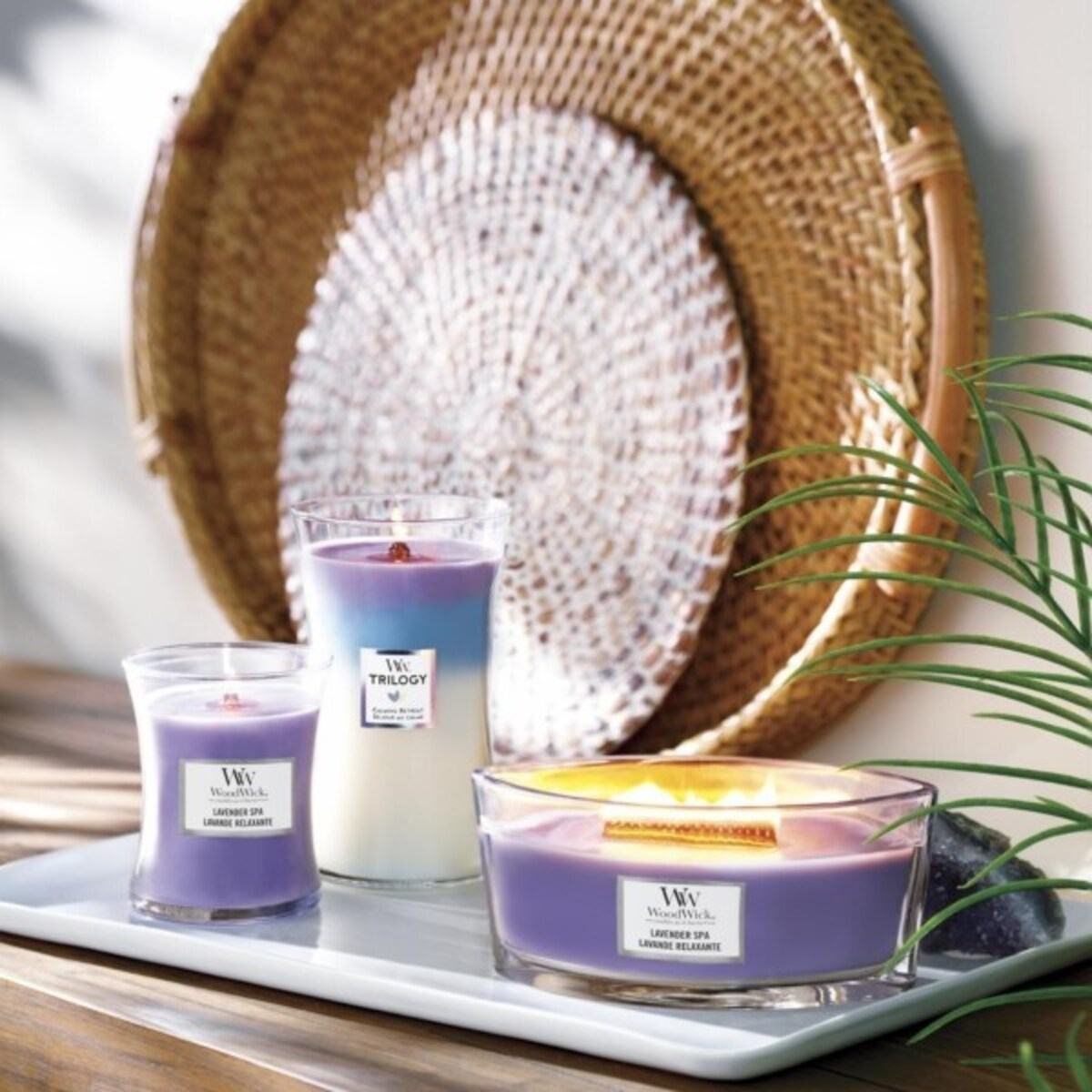 WoodWick świeca średnia LAVENDER SPA