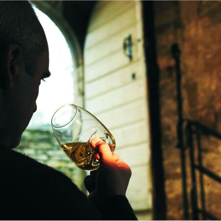 Szklanka do degustacji wina Le Taster, 380 ml, Peugeot