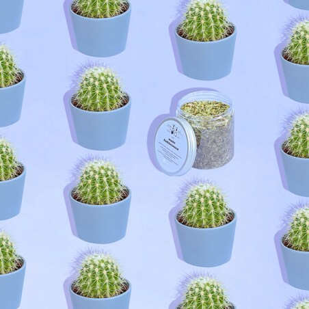 Herbata YerbaMate KAKTUSOWA o smaku cytrusowym z nutą opuncji PREMIUM - herbata liściasta sypana mieszanka napar susz - gotowa na prezent upominek