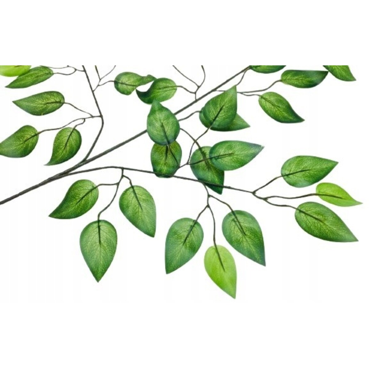 GAŁĄZKA FIKUS stroiki bukiety dodatek LIŚĆ GUMOWANE DROBNE listki zielone