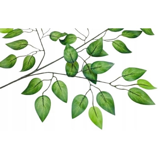 GAŁĄZKA FIKUS stroiki bukiety dodatek LIŚĆ GUMOWANE DROBNE listki zielone