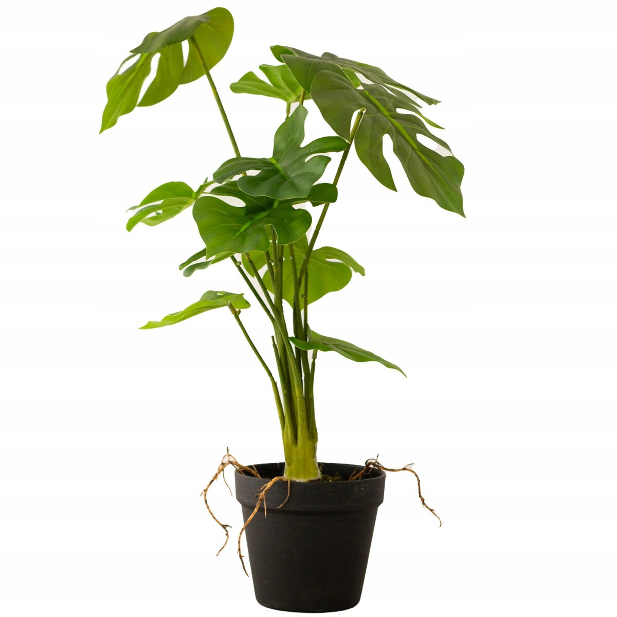 Sztuczna Monstera 50 cm