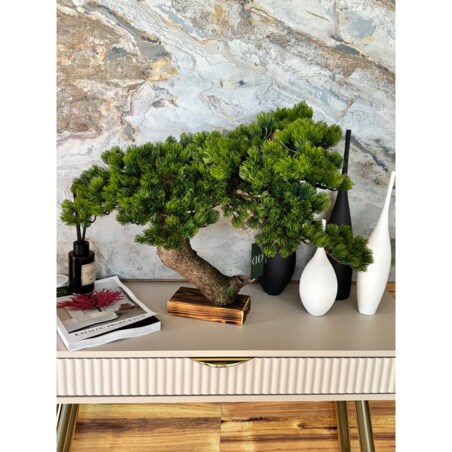 Bonsai iglaste na naturalnym pniu