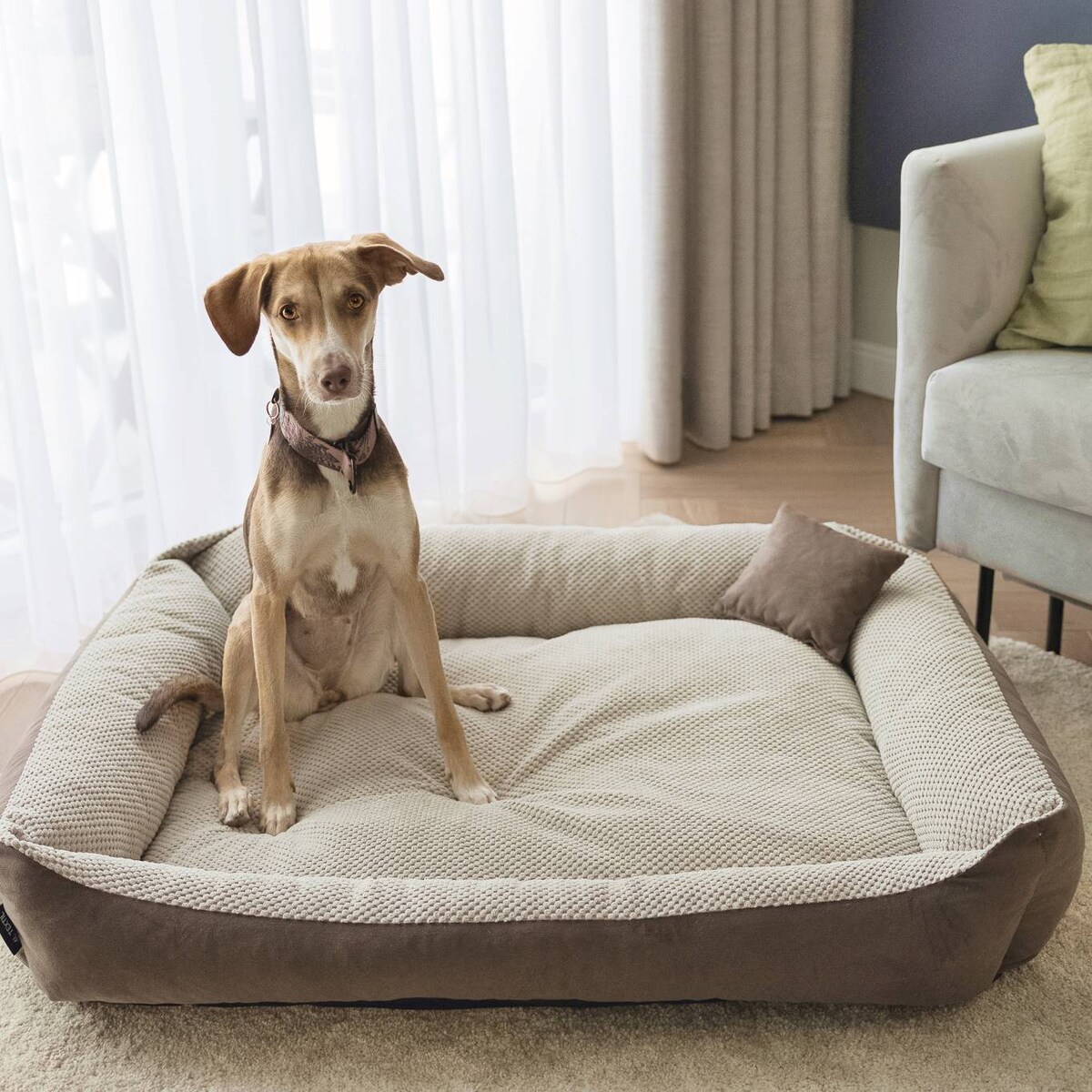 Przytulne legowisko dla psa TEO, 100x80 cm, Brąz/Beż