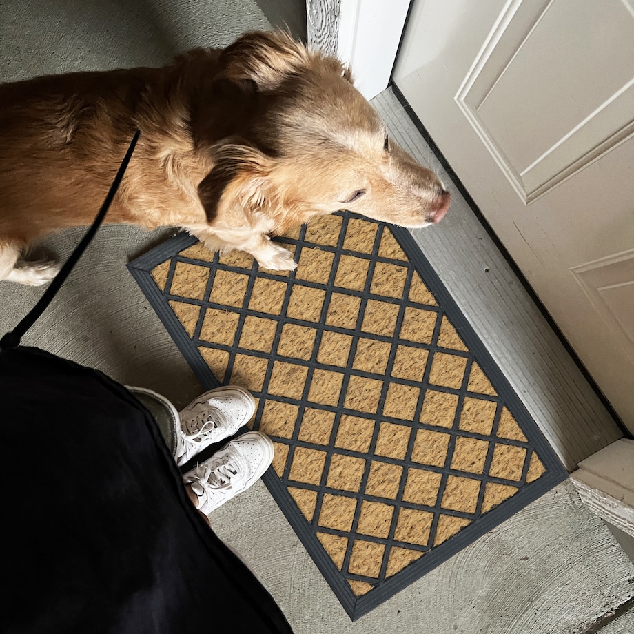 Wycieraczka wejściowa Panama 40x60 cm guma-kokos