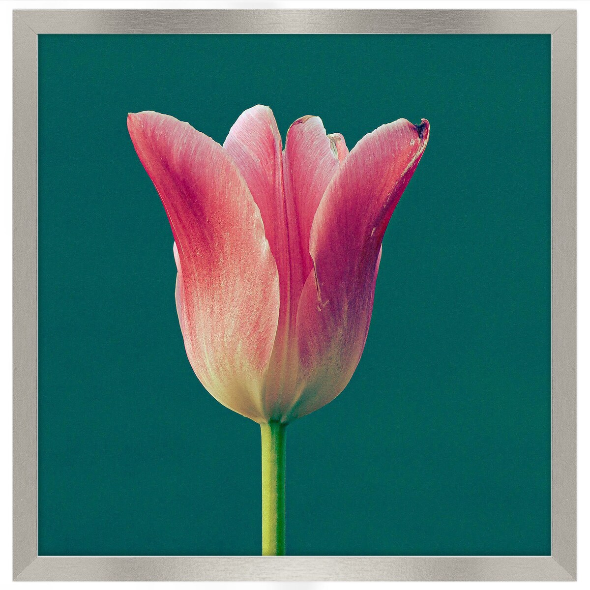 Ramka na zdjęcia 40x40 cm srebrna rama MDF z plexi do powieszenia pion poziom klasyczna kwadratowa ramka FRAMAI®