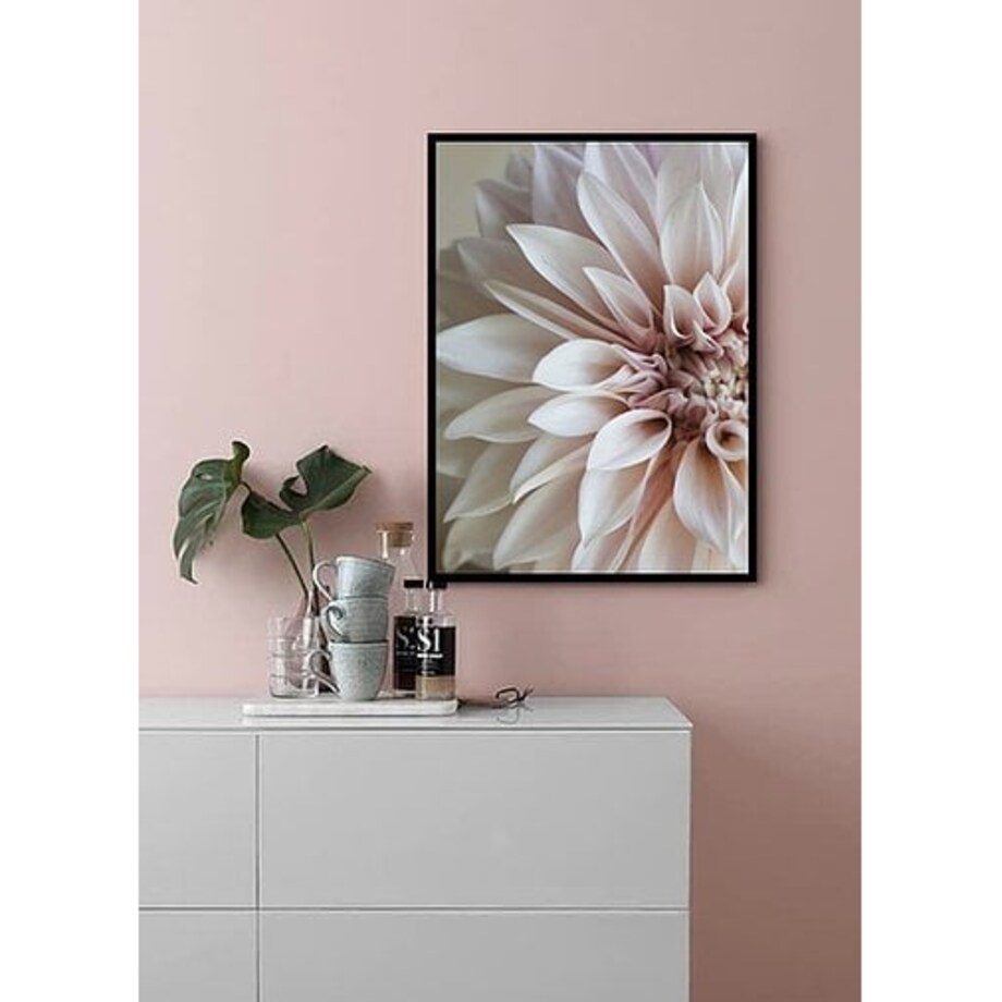 Poster Story, Plakat, Obraz - Kwiat Dalia No1, wymiary 30 x 42 cm