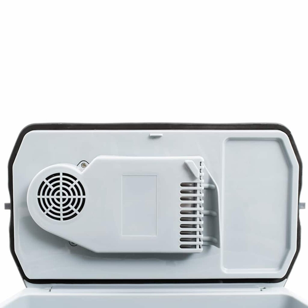 vidaXL Przenośna chłodziarka termoelektryczna, 20 L, 12 V, 230 V, A+++