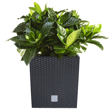 Doniczka Donica Ratanowa Kwadratowa Do Ogrodu Domu 9,8 L