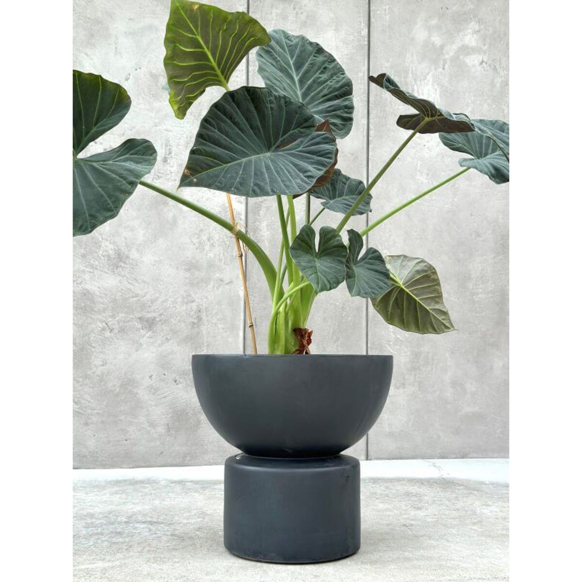 Doniczka MARTISO EDGE