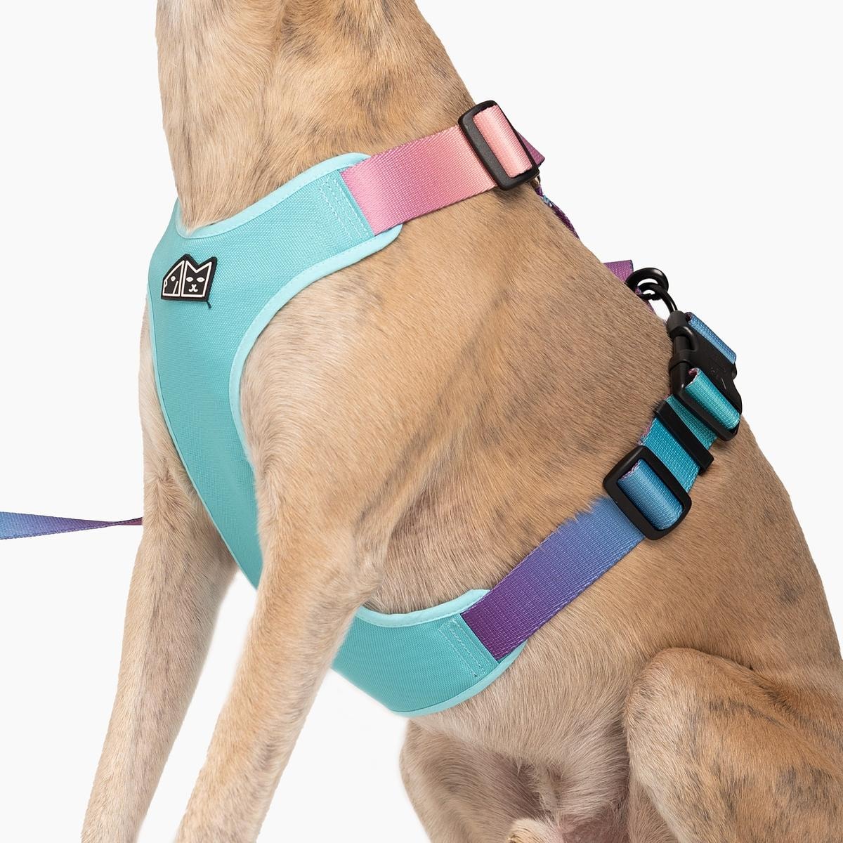 Szelki bezuciskowe dla psa lub kota "Under my ombrella" TURKUS - Szerokość taśmy: 25mm, Rozmiar: XL