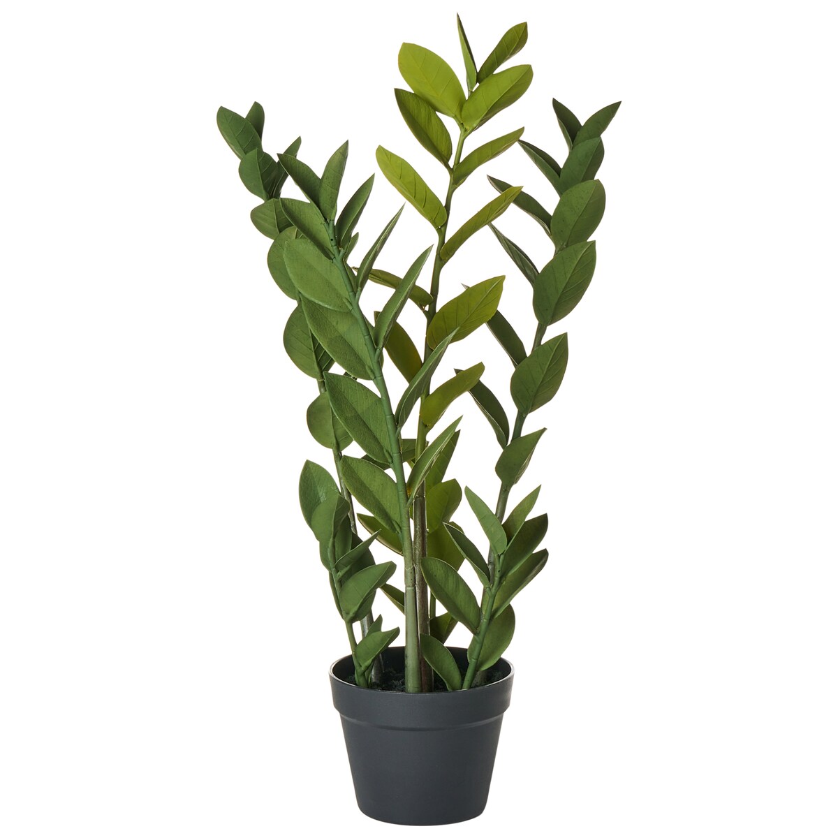 Sztuczna roślina ZAMIIFOLIA 76 cm Zielony