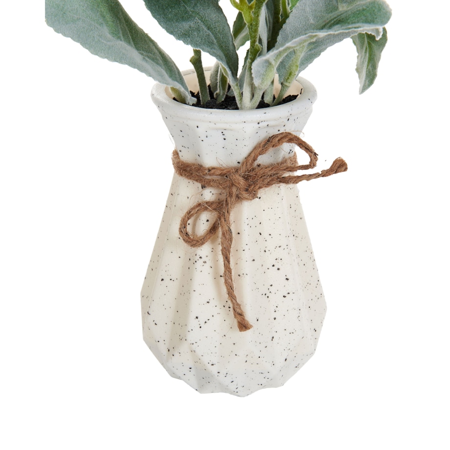 Sztuczna roślina PEPEROMIA ARGYREIA 30 cm Zielony