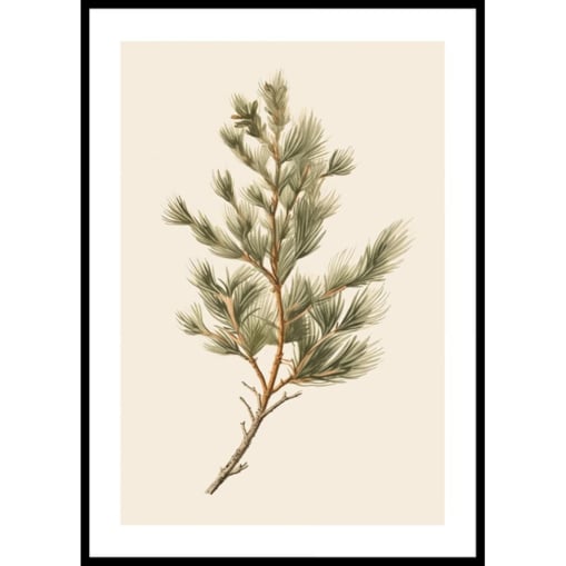 Poster Story, Plakat, Obraz - Gałązka Sosny na Beżowym Tle, wymiary 30 x 42 cm