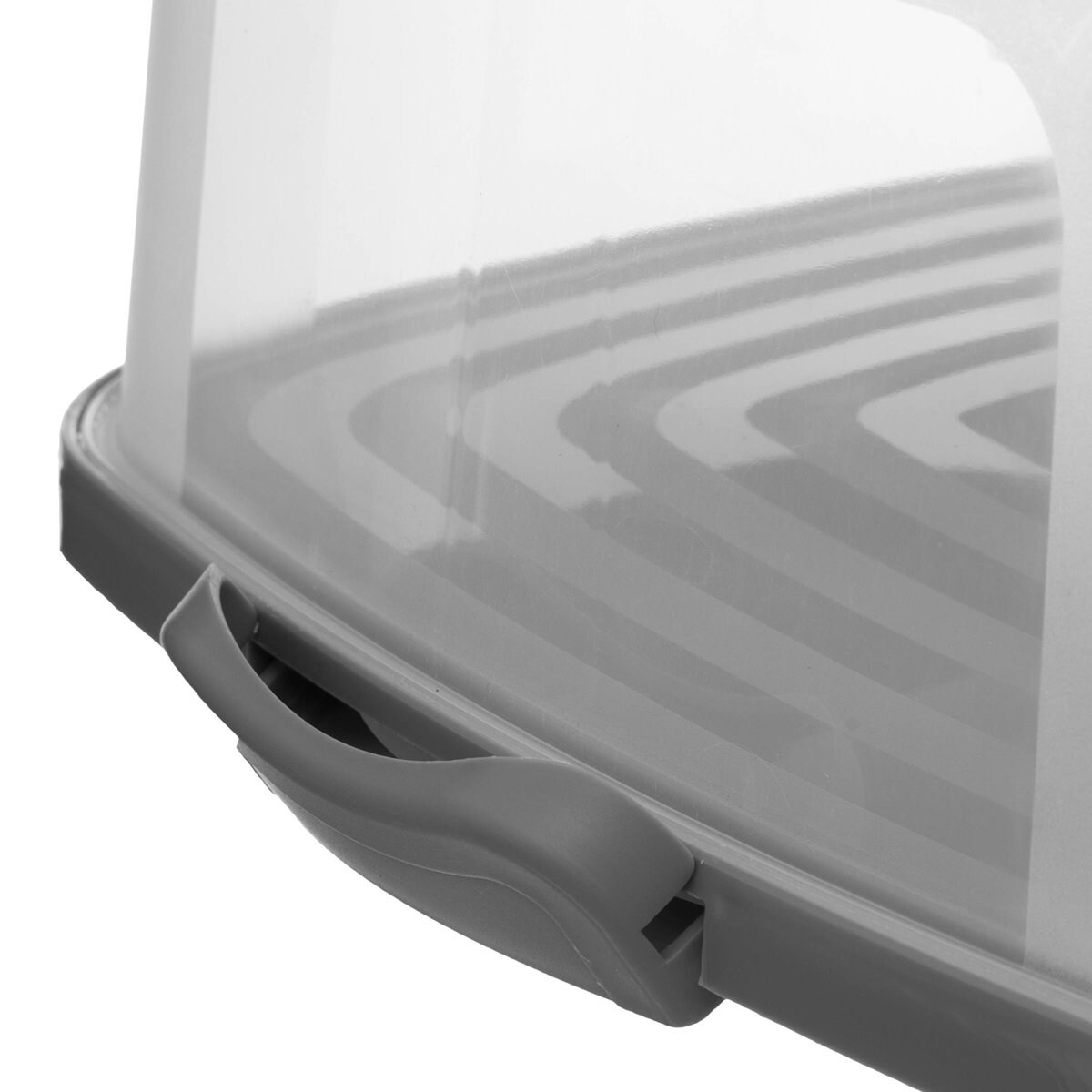 Przenośny pojemnik na ciasto, 33 x 36 cm