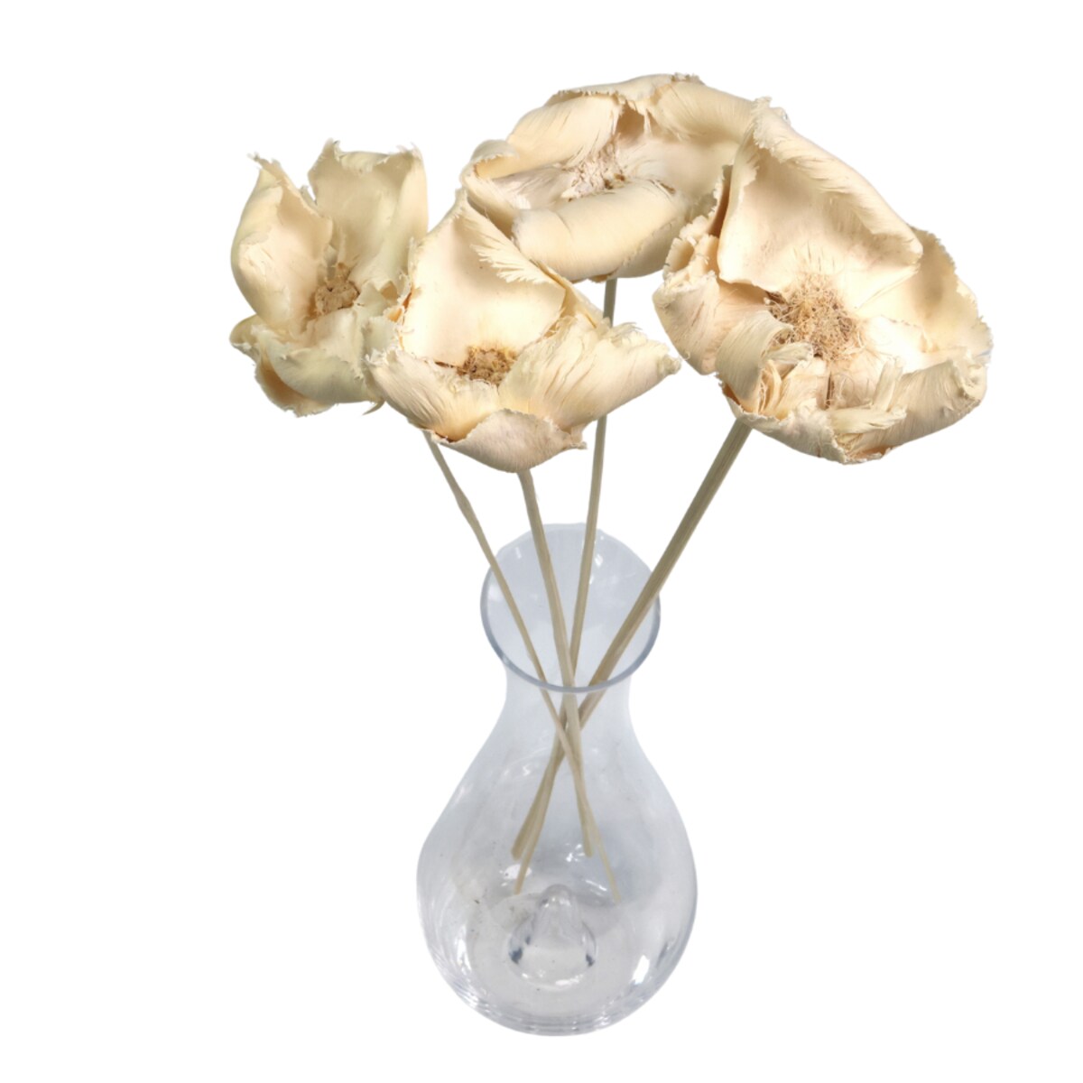 Kwiat orzechowca bielony