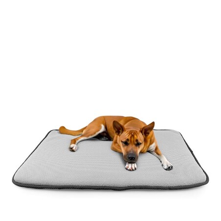 Legowisko dla psa prostokątne M 3D plastry miodu