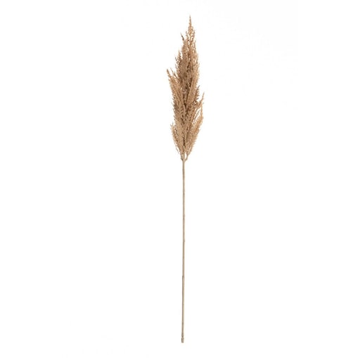 Gałązka Trawy Pampasowej 90cm beige, 8 x 8 x 90 cm