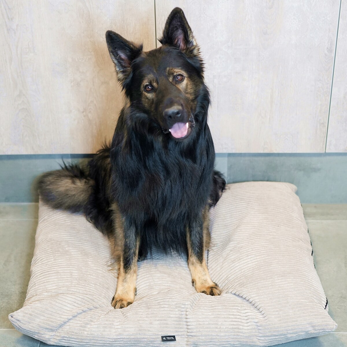 Poduszka dla psa ze sztruksu MOLLY, 100x80 cm, Beż