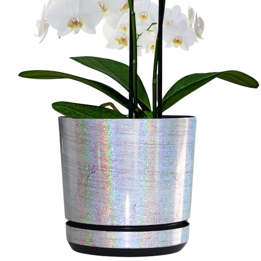 12 cm piękny wzór KSIĘŻYCOWY BLASK srebrna niezwykły tęczowy efekt holograficzne drobinki mieniąca brokatowa