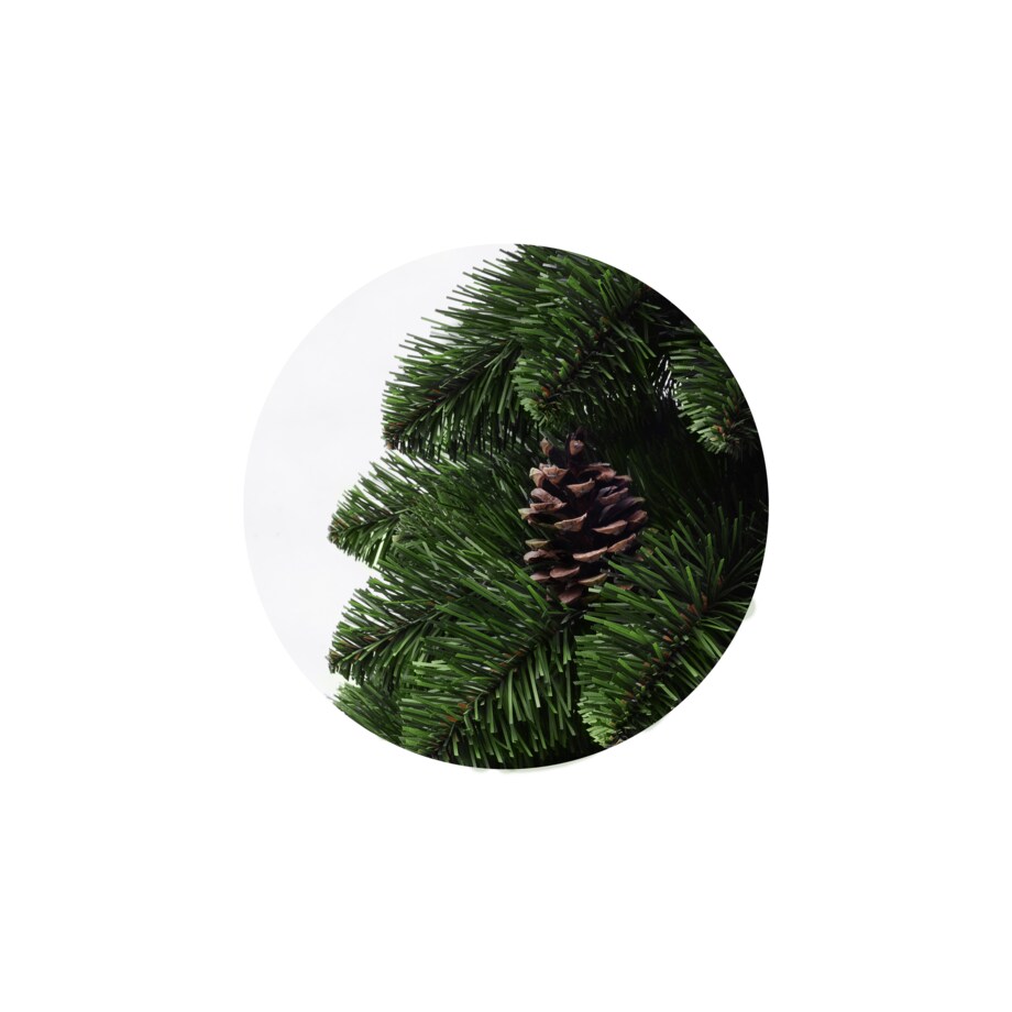 Sosna syberyjska home&you
