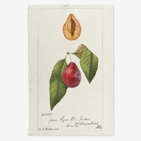 Lniany ręcznik kuchenny - śliwka