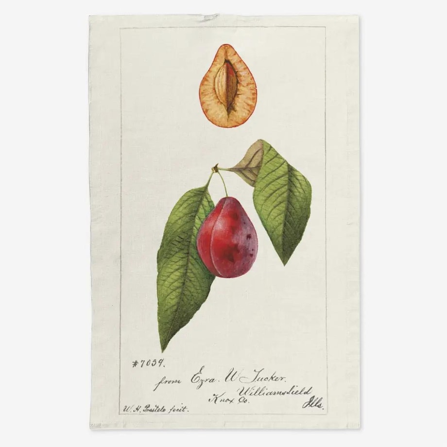 Lniany ręcznik kuchenny - śliwka