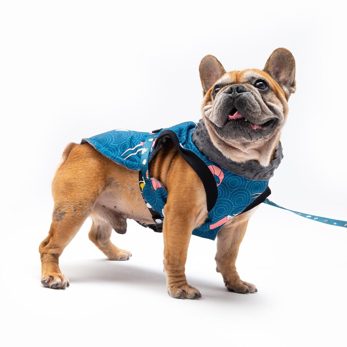 Kurtka dla psa "Psutomaki" - Rozmiar: XS