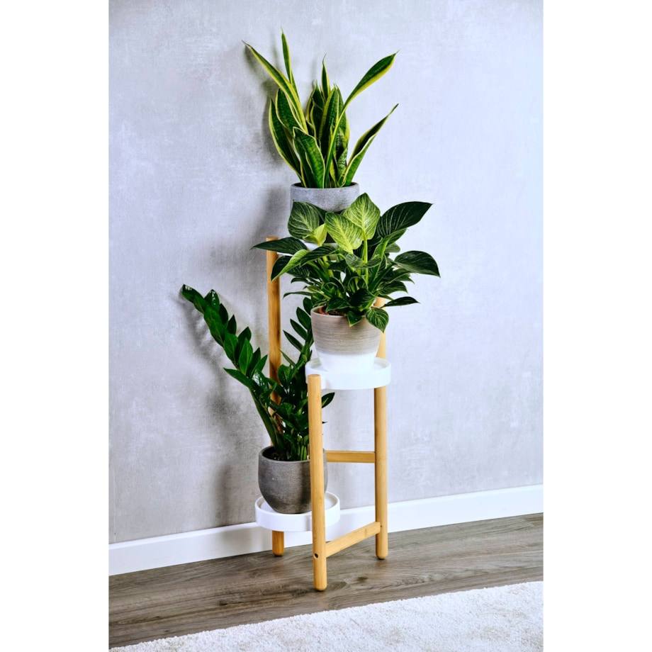 Bambusowy stojak na kwiaty z plastikowymi podstawkami