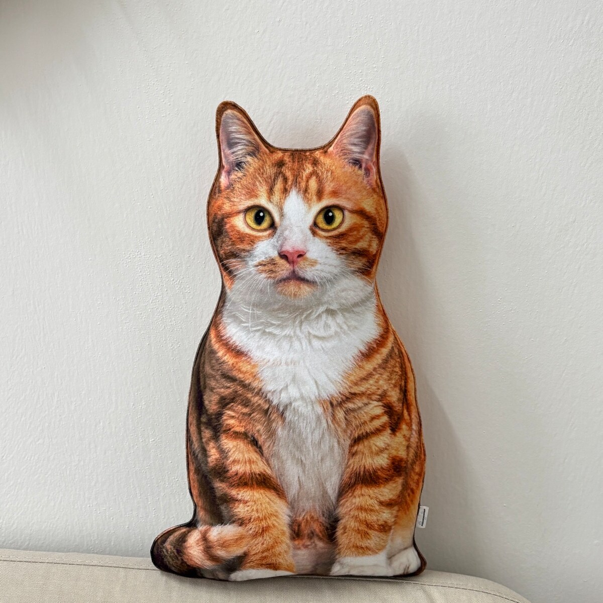 Poduszka dekoracyjna Kot rudy pręgowany z białymi łatkami