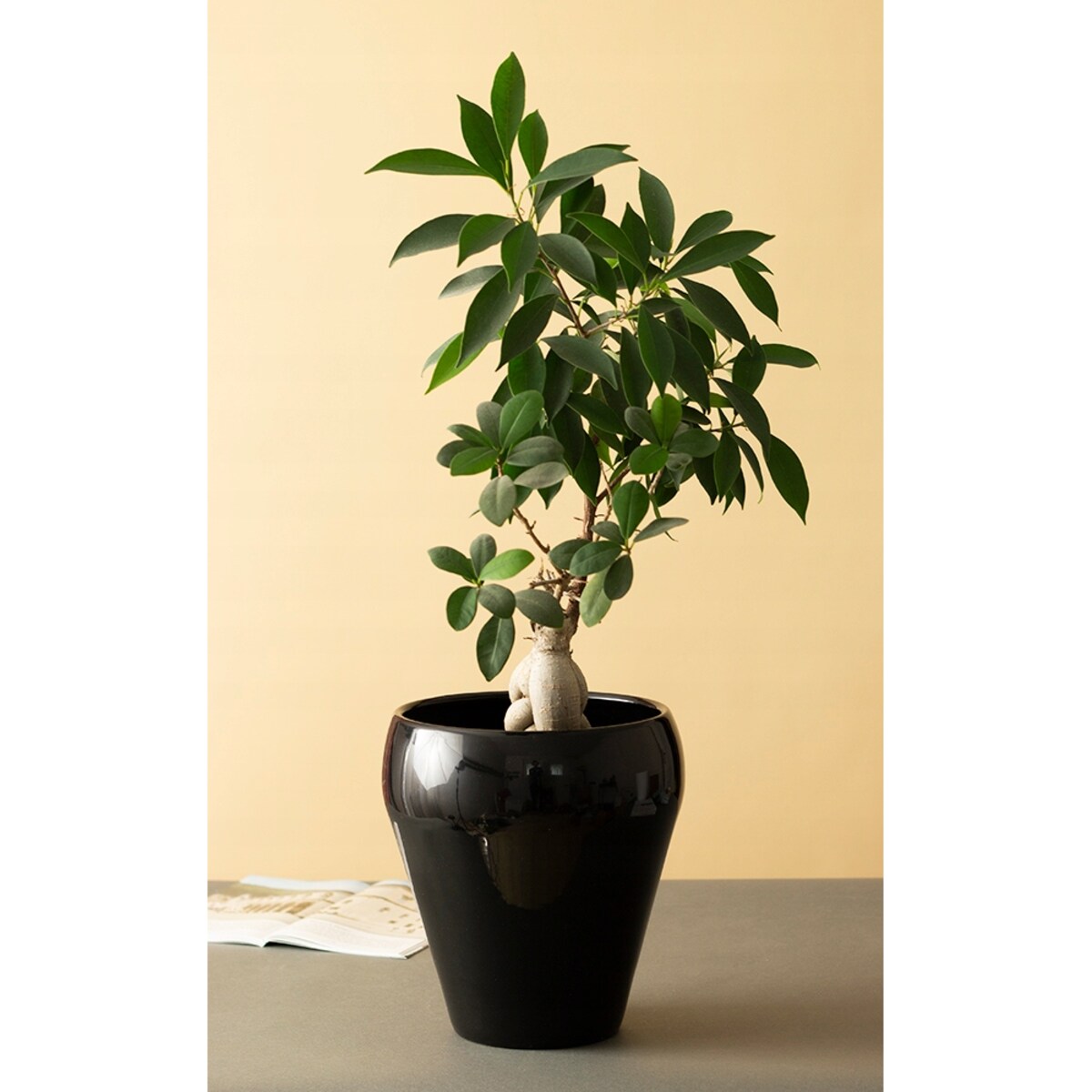 DONICA BELLA ceramiczna czarny połysk śr. 20cm