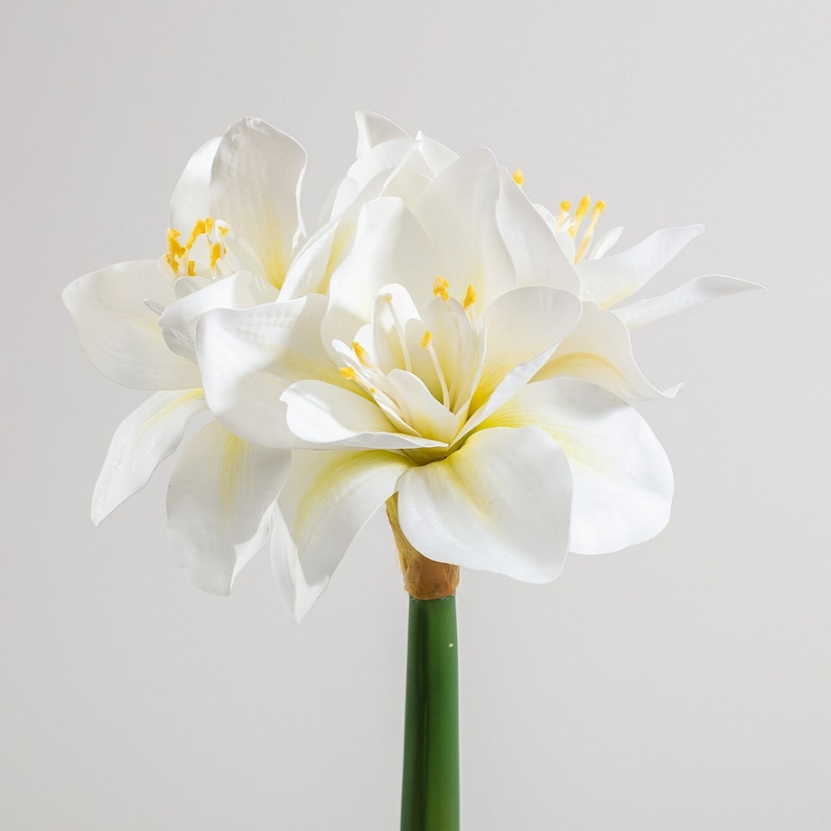 Kwiat sztuczny Amarylis 62 cm cream, 15x62 cm