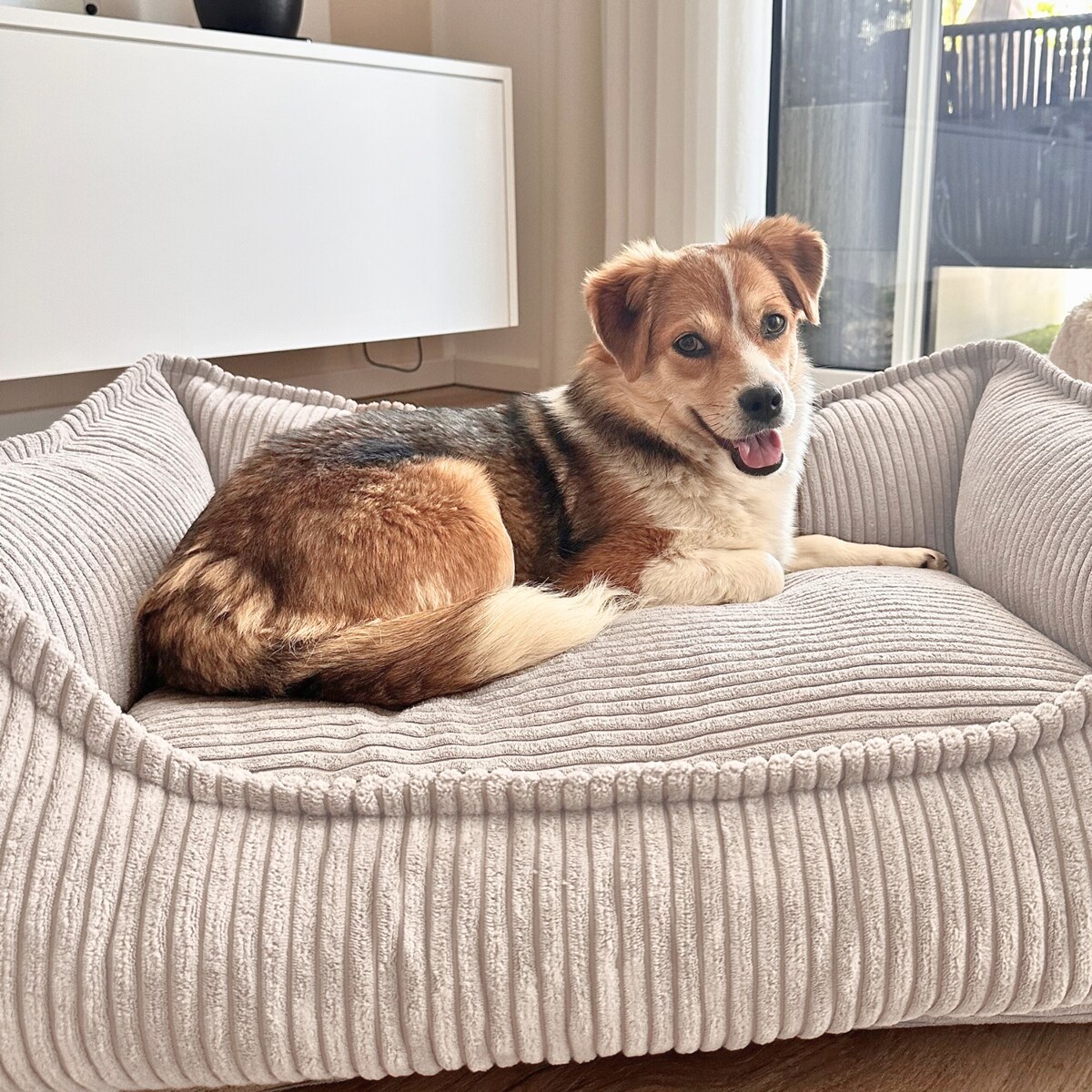 Ortopedyczne sztruksowe legowisko dla psa HUGO, 60x40 cm, Beż