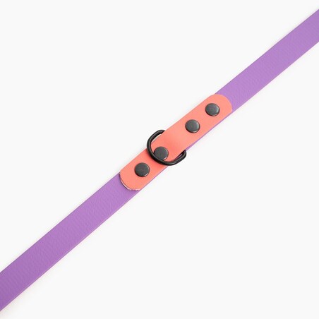 Smycz przepinana Biothane® dla psa lub kota "Lilac with Coral" - Rozmiar: M, Szerokość taśmy: 16mm