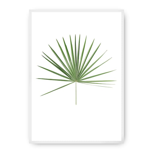 Plakat Tropical Leaf Green, 40 x 50 cm, Ramka: Biała